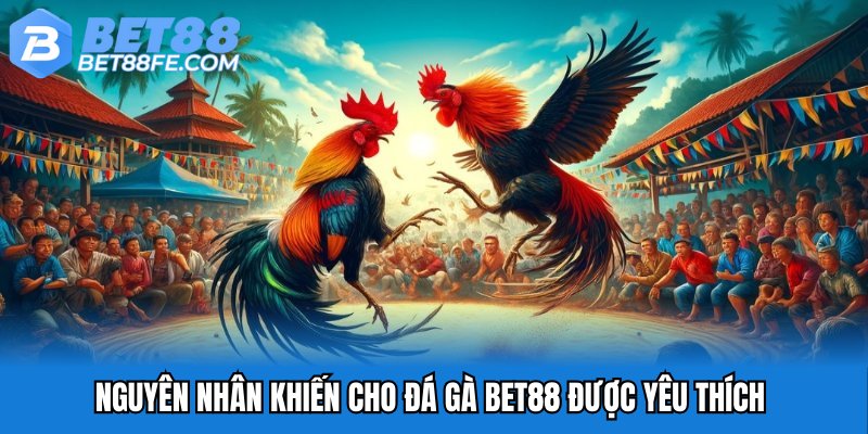 Nguyên nhân khiến cho đá gà Bet88 được yêu thích